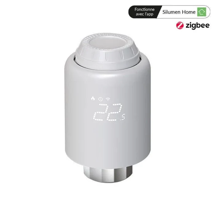 Miniature 2