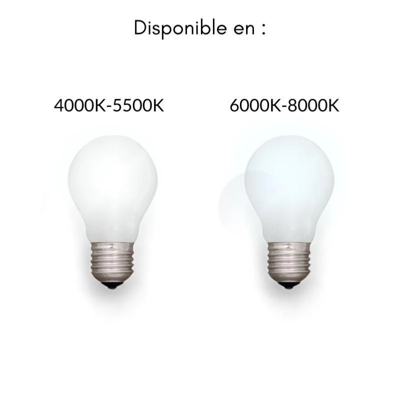 Image du produit 15